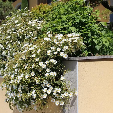 Bed & Breakfast Le Vallon De Saint Andre *