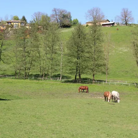 Le Vallon De Saint Andre *